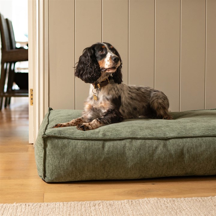 Fantail Mattress Stargaze Mellow Emerald Green Dog Bed